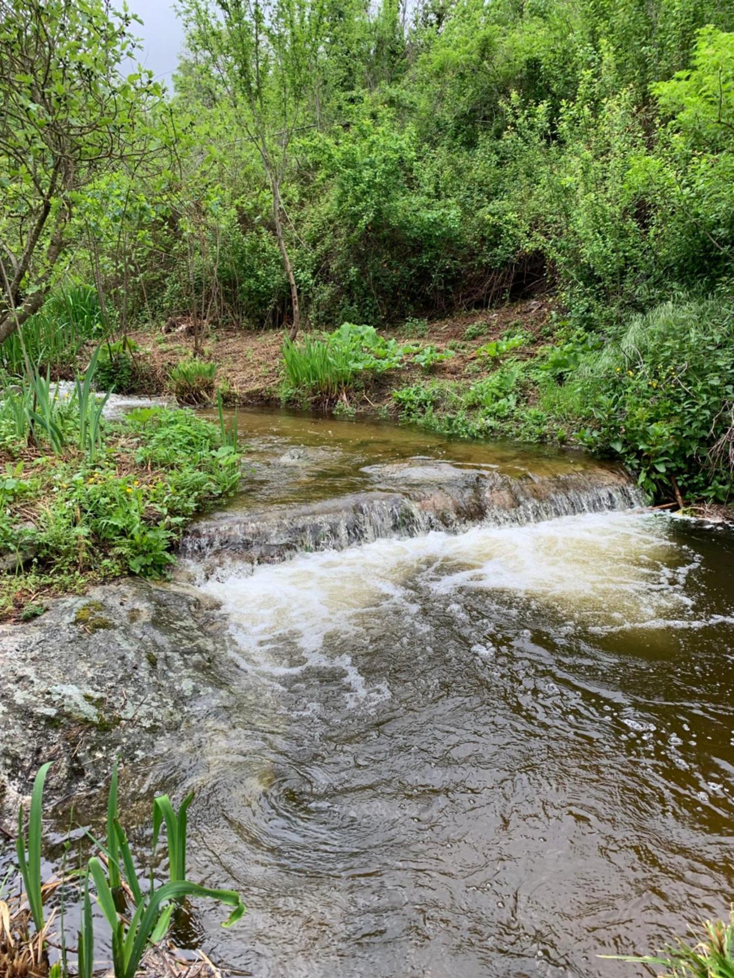 Caselena , Un Havre De Paix En Balagne Ville-di-Paraso Exterior foto